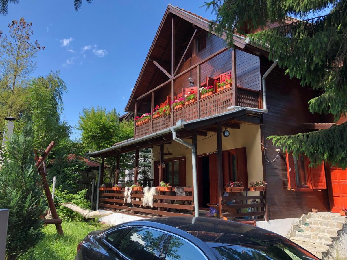 Family House Villa Buşteni Exterior foto